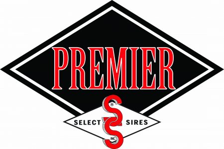 Premier Logo 1
