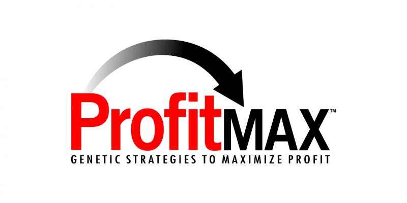 Profitmax Logo Final Profitmax Logo Final