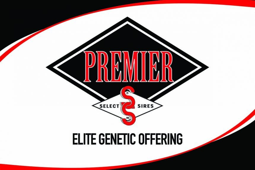 Select Sires Elite Offering Backed by Superior Fertility