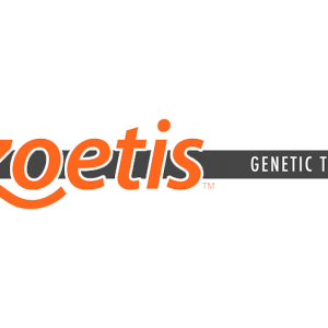 zoetis