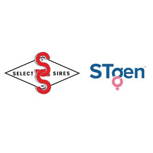 Select Sires Inc. and STgen™ Sign a Letter of Intent