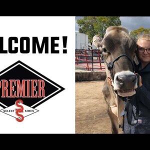 Katie Larmon Joins Premier Select Sires as Reproductive Services Specialist