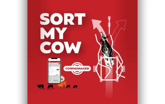 CowManager Introduces Sort my Cow