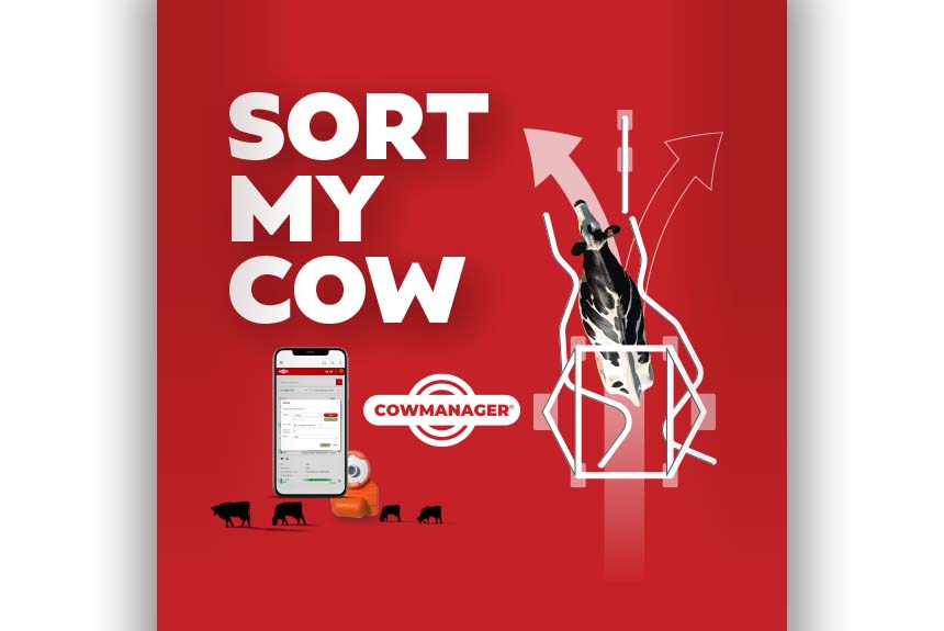 CowManager Introduces Sort my Cow